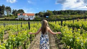 Oporto: Excursión por el Valle del Duero con 2 Bodegas, Almuerzo y Crucero