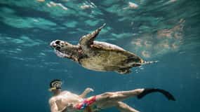 From Gili Air: Snorkeling with Turtles & Underwater Statue