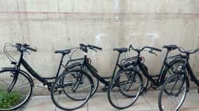CITYBIKE/ easy Classic FOR 24 hours with Free delivery!