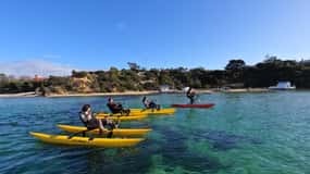 Sorrento, Mornington Peninsula Waterbike Tour