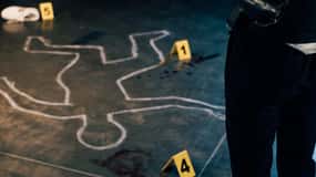Colónia: visita guiada Crime no Reno