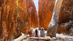 Visite d'Alice Springs et des chaînes de montagnes de l'ouest de MacDonnell avec déjeuner