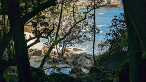 Depuis Bali : Excursion d'une journée sur l'île de Nusa Penida (sites cachés)