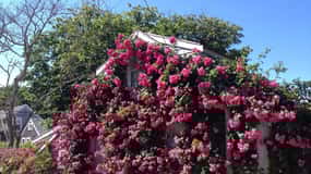 Nantucket: Historical Landmarks Sightseeing Bus Tour