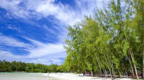 Mauritius: Ile aux Cerfs båttur med BBQ-lunch och dryck