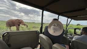 Safari tout compris de 3 jours dans le Kruger au départ de Nelspruit
