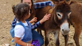 Agüimes : Be a farmer for the day at La Jaira de Ana