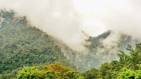 Quito: Tour privato della foresta nuvolosa di Mindo con giro in funivia