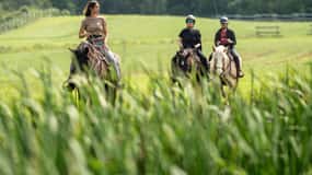 ラ・ヴァレ：魅力的な乗馬入門