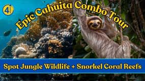 Episk Cahuita Combo Tour: Snorkla vid rev och vandra med vilda djur
