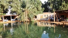 Djerba: odwiedź oazę i źródło gorącej wody na pustyni