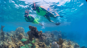 From Miami: Key West Day Trip