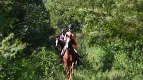 Adrenalina Maya: Caballo, Quad, Tirolinas, Rappel y Cenote