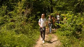 BEER WAY Kamnik: Alpejskie plenery i degustacja piwa