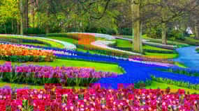 Amsterdam: Cheese, Clogs, Flowers and Windmills Tour
