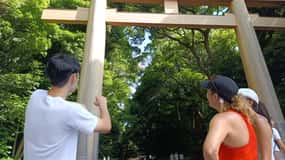 Tokyo: Meiji Jingu Shrine and Shinto Culture Walking Tour