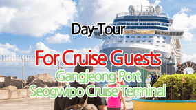 Para os hóspedes do Terminal de Cruzeiros de Gangjeong Seogwipo Tour JEJU