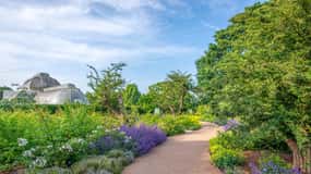 London: Kew Gardens Admission Ticket