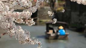 From Nagoya: Castles and Canals in Hikone and Omi Hachiman