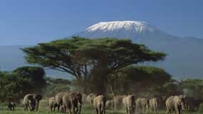 3 days Tsavo East and Amboseli safari from Diani/Mombasa