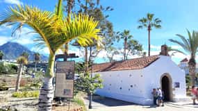 Tenerife: La Caleta Guided Walking Tour
