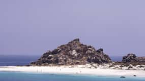 Damas or Chañaral islands: Whales & Humboldt Penguin Reserve