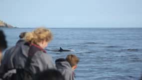 The North Coast Boat Trip Experience
