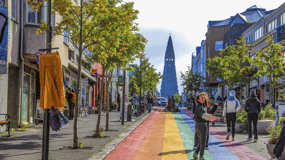 Città di Reykjavik - Tour privato di mezza giornata