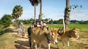 Kratie: Passeio de bicicleta pela ilha de Koh Trong com lanches