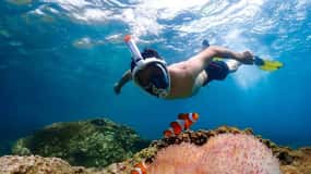Pattaya: Nemo Island Experience with Drone Photos and Lunch