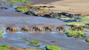 5 Day Small Group Garden Route Tour From Cape Town