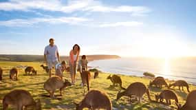 Excursão de um dia pela Great Ocean Road e vida selvagem
