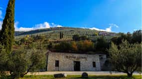 Trevi: Tour guidato e degustazione presso il Frantoio Gaudenzi