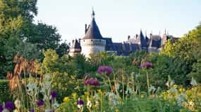 Depuis Blois : Chaumont-sur-Loire, nature, vin et histoire