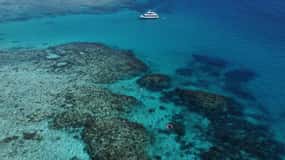 Cairns: Outer Reef Snorkel & Dunk Island Small Group Tour