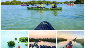 Qatar: Al Thakira Mangrove Forest Kayaking Tour