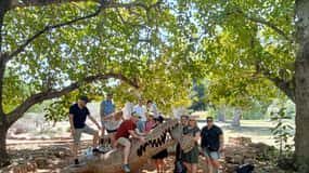 Tour di Darwin e dei coccodrilli