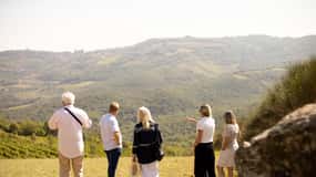 Montalcino: Guidad vingårdstur och vinprovning