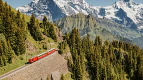 Schynige Platte - Top of Swiss Tradition ticket