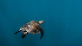 San Cristóbal: 360 Island Tour with Snorkeling