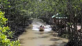 Ho Chi Minh City: Can Gio Monkey Island Day Trip with Lunch
