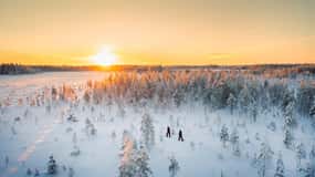 Kemi-Tornio: Nature tour with snowshoes