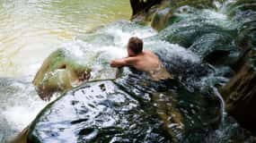 Транспортное средство и водитель в вашем распоряжении - 8 часов