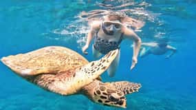 Exclusive Snorkeling Experience to Gili Gede and 4 Gilis