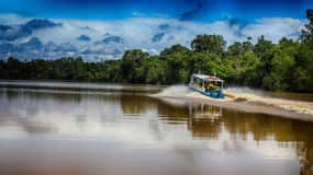Kinabatangan-flodtur fra Sandakan med frokost inkluderet
