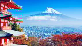 From Tokyo: Mount Fuji & Hakone Customize Private Day Tour