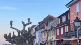 Von Basel aus: Private Tour durch 4 Länder und zum Bodensee
