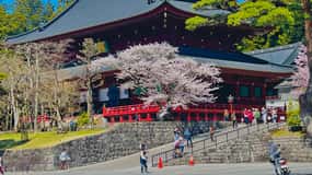 Hakone: Full day private tour with English speaking Guide