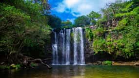 waterfall llanos del cortez chocolate and sloth tour