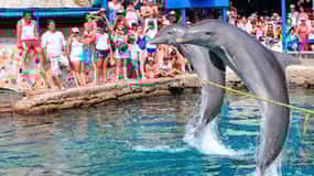 Tour Acuario centro de vida Marina y playa blanca!